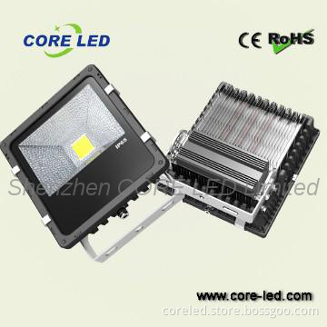 AC85--265V High Power  LED Floodlight 100w